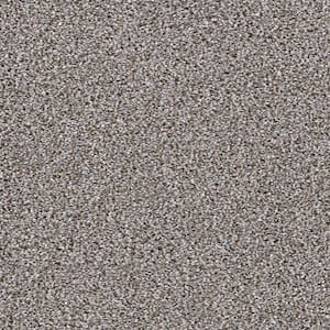 Home Decorators Collection 8 in. x 8 in. Texture Carpet Sample ...