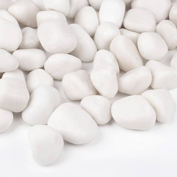 Justincity 14.33 in. x 11.1 in. x 2.95 in. Large White Polished
