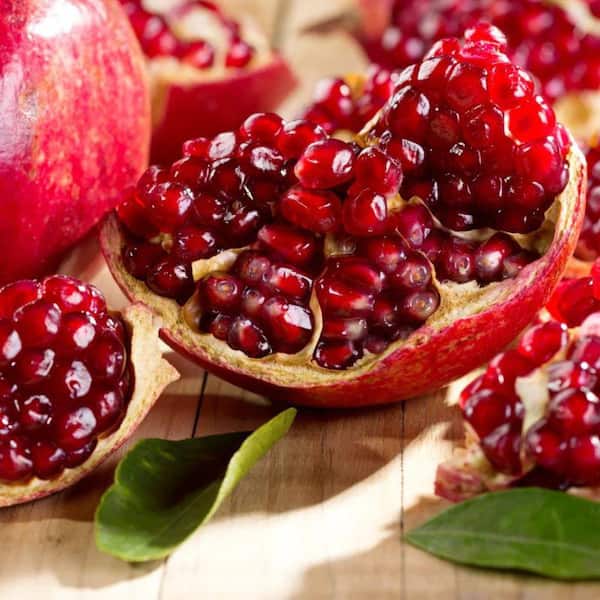 1 Gal. Parfianka Pomegranate Tree