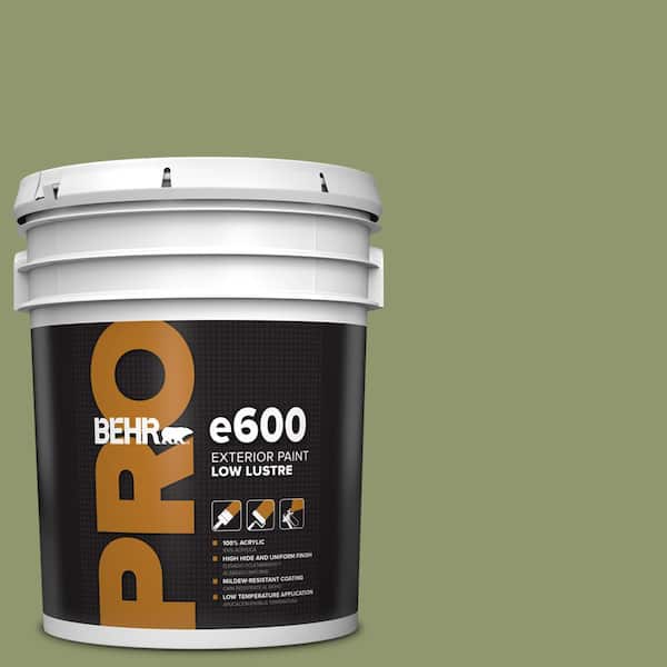 BEHR PRO 5 gal. #410F-5 Boston Fern Low Luster Exterior Paint