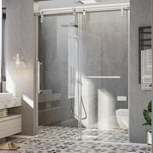 56- 60 in. W x 75 in. H Sliding Frameless Shower Door/Enclosure in Stainless Steel with Clear Glass, Silver