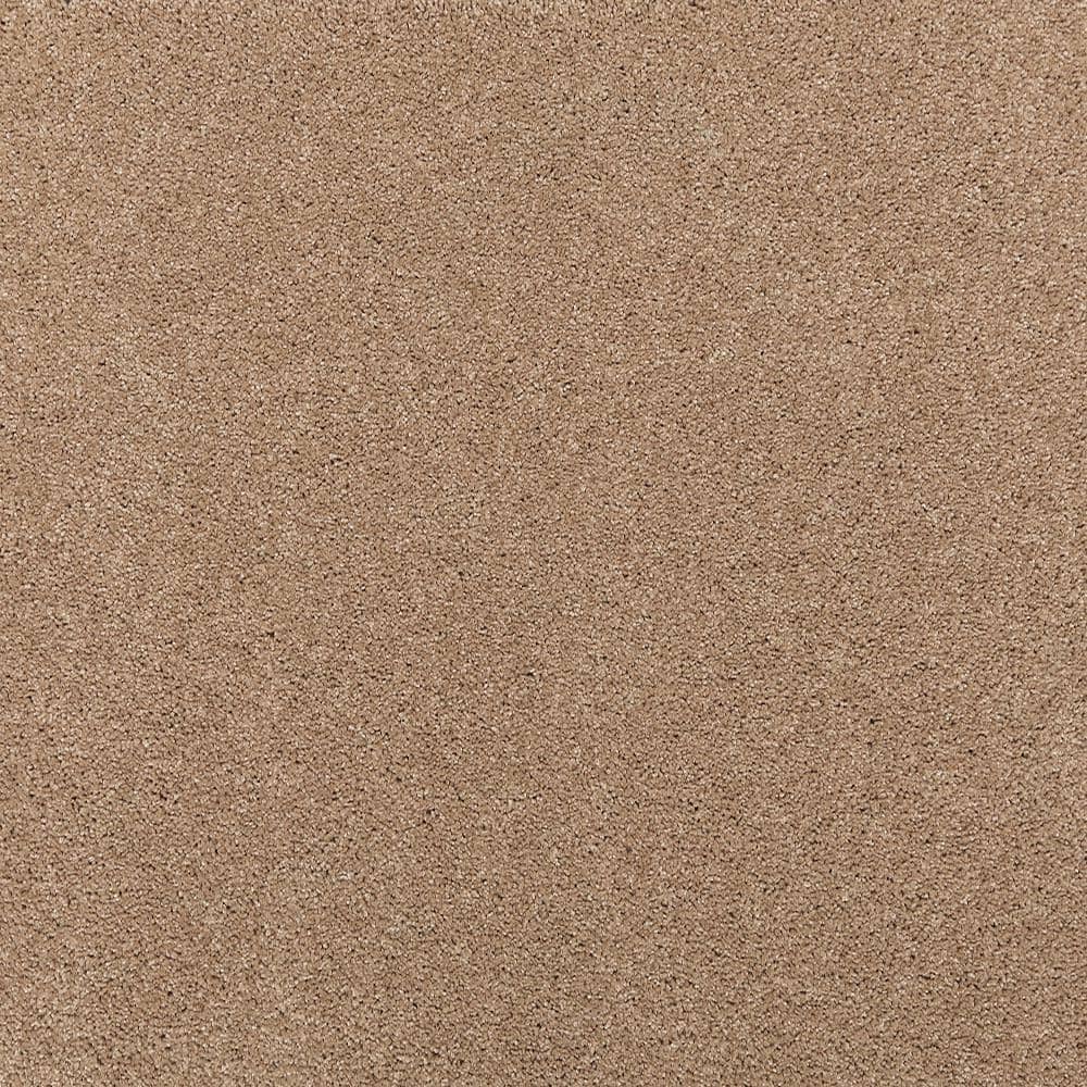 8 in. x 8 in. Texture Carpet Sample - Plush Dreams I -Color Cozy price history on PriceWatchPro