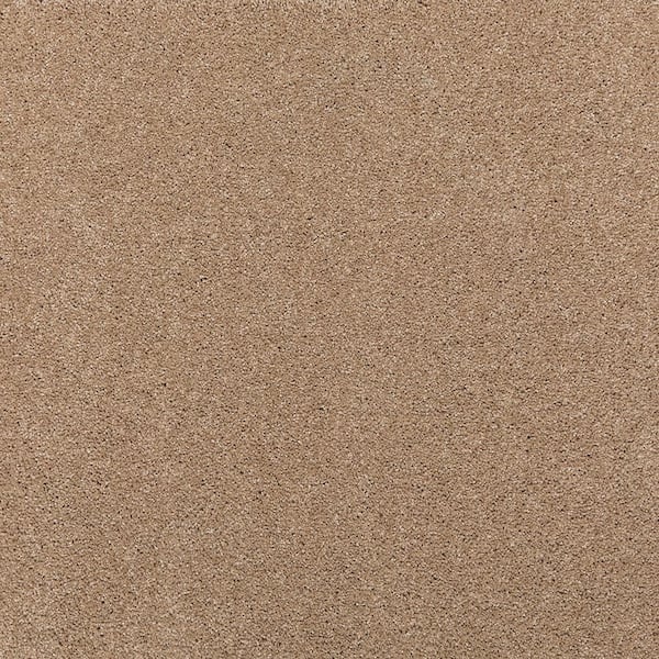 Lifeproof 8 in. x 8 in. Texture Carpet Sample - Plush Dreams I -Color Cozy