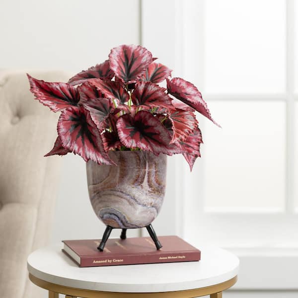 SULLIVANS 14 in. Purple Artificial Painted Begonia Leaf Plant in Pot