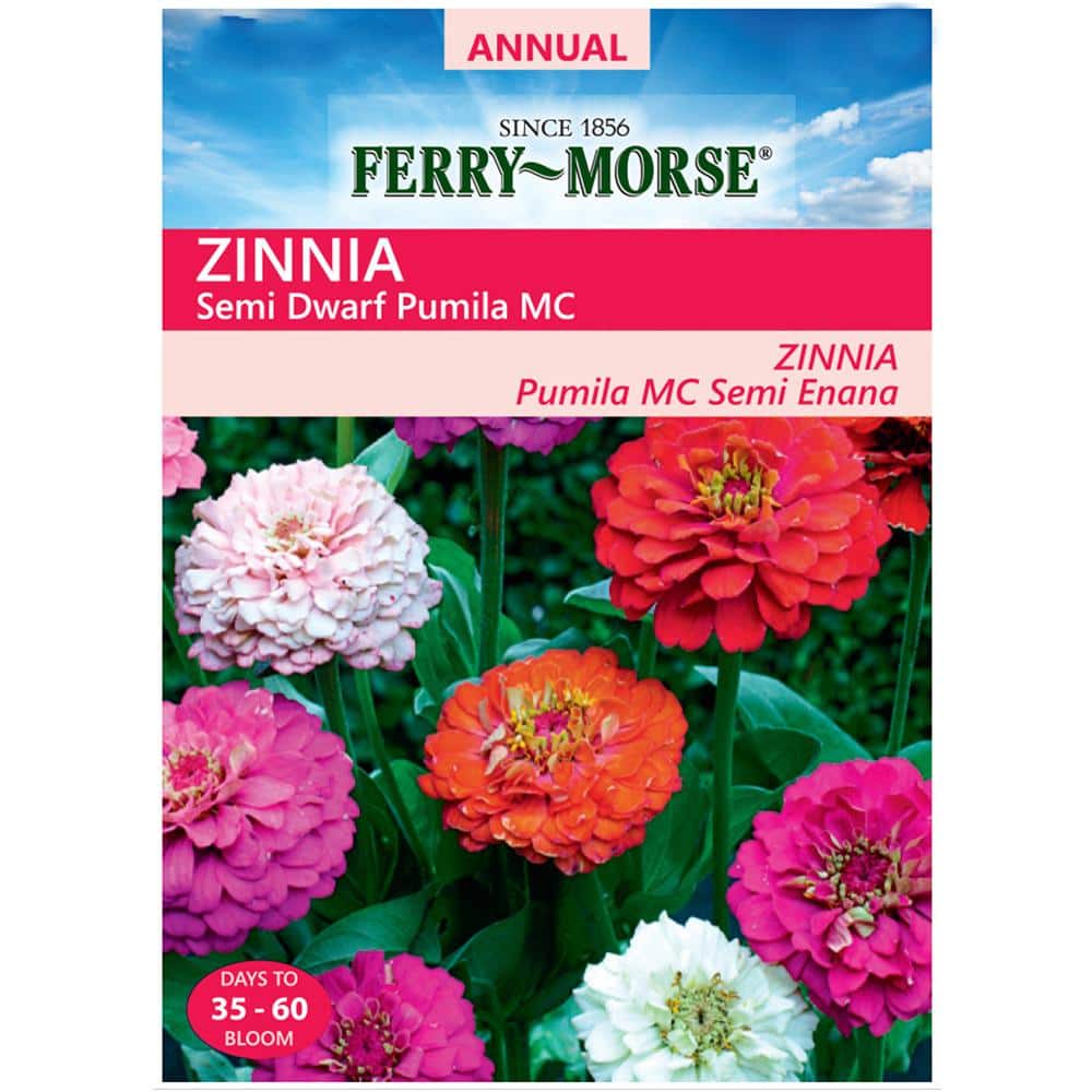 Ferry-Morse Zinnia Semi Dwarf Pumila Mixed Colors Flower Seeds
