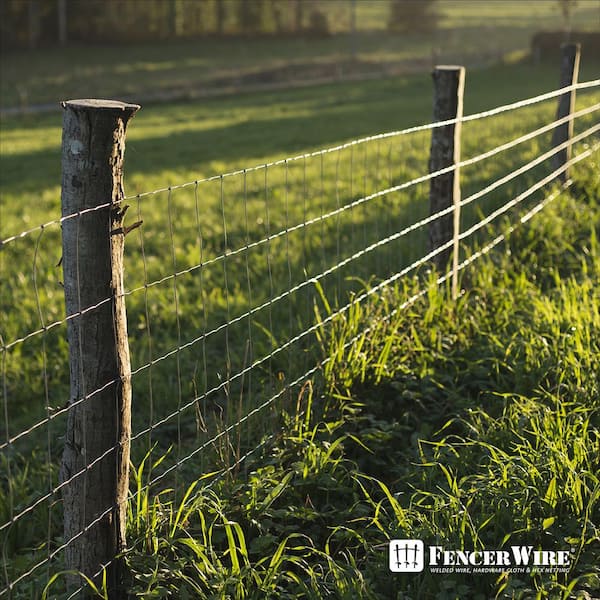 Fencer Wire 5 ft. x 100 ft. 12.5-Gauge Welded Wire Fence with Mesh 2 in. x  4 in. WB125-5X100M24 - The Home Depot