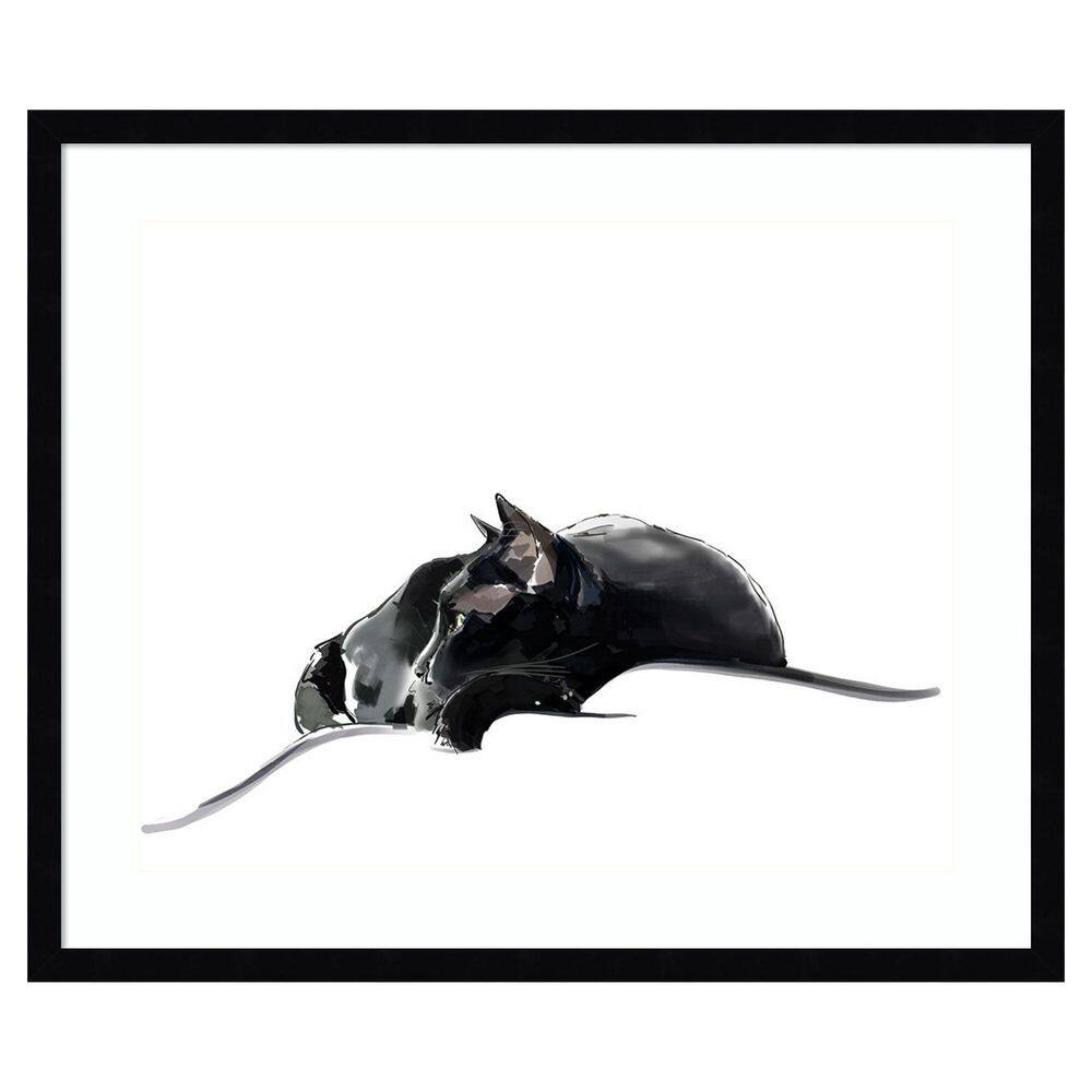 Asher III by Emily Kalina 1 Piece Framed Giclee Animal Art Print 21 in. x 25 in. price history on PriceWatchPro