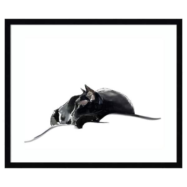 Asher III by Emily Kalina 1 Piece Framed Giclee Animal Art Print 21 in. x 25 in.