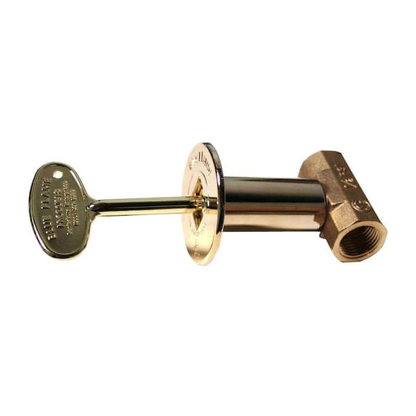 Blue Flame Straight Gas Valve Kit Includes Brass Valve, Floor Plate and Key in Polished Brass