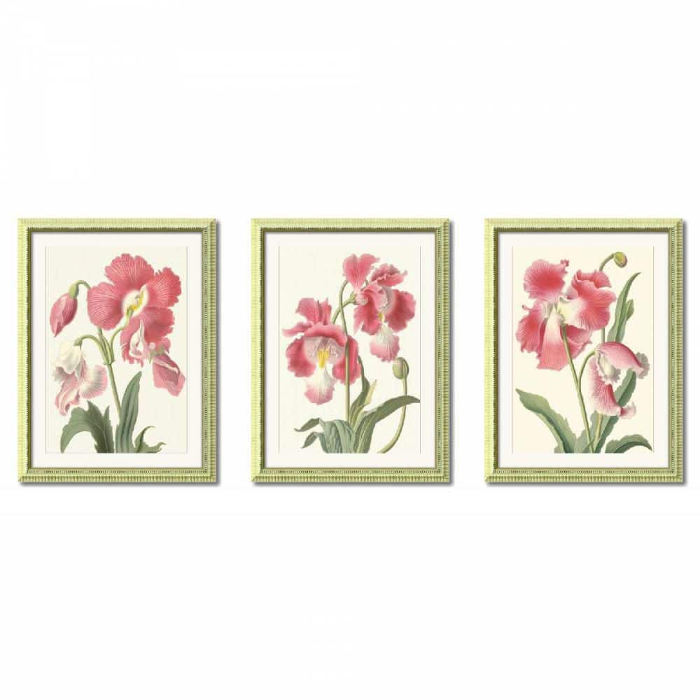 Modern 3 Piece Antique Solid Wood Framed Pink Flower Botanical Floral ...