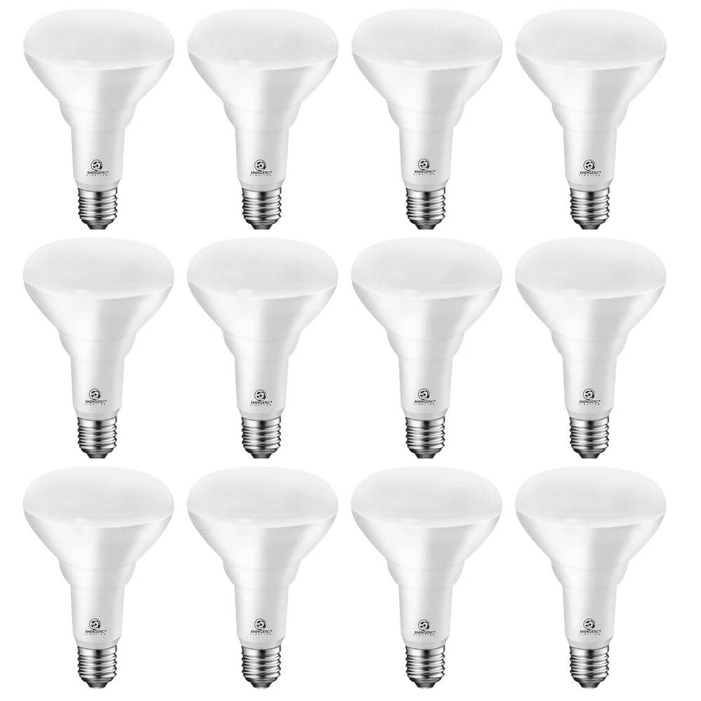 85-Watt Equivalent BR30 Daylight (5000K) Dimmable LED Light Bulb 900 Lumens (12-Pack) price history on PriceWatchPro