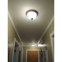 22-Watt 8 in. T9 G10q Linear Circline Fluorescent Tube Light Bulb, Cool White 4100K (1-Bulb)