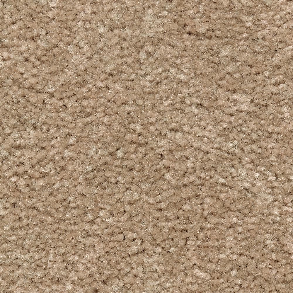 8 in. x 8 in. Texture Carpet Sample - Mason I -Color Avalon price history on PriceWatchPro