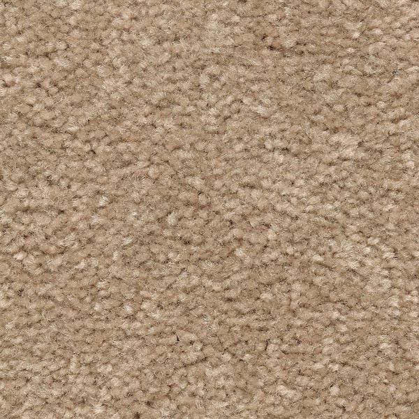 Lifeproof Mason I  - Avalon - Brown 35 oz. Triexta Texture Installed Carpet