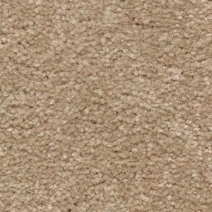 Surface - Plains - Beige 15 ft. 59.72 oz. Wool Texture Installed Carpet