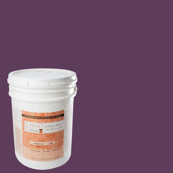 YOLO Colorhouse 5-gal. Create .06 Flat Interior Paint-DISCONTINUED