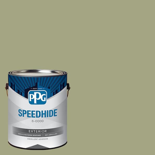 SPEEDHIDE 1 gal. PPG1123-5 Envy Satin Exterior Paint