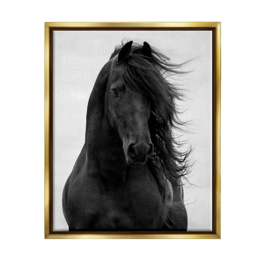 Black Stallion Horse Portrait Soft Sky Photography by Carol Walker Floater Frame Animal Wall Art Print 25 in. x 31 in. price history on PriceWatchPro
