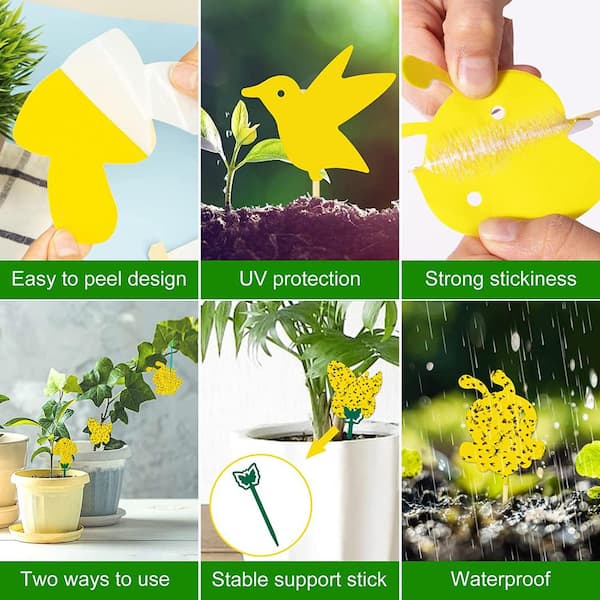 Indoor and Outdoor Fruit Fly Traps Yellow Sticky Plant Bug Fungus Fly Trap  Outdoor, Hangable Pluggable Traps (60-Pack) B091TLGJ5X - The Home Depot