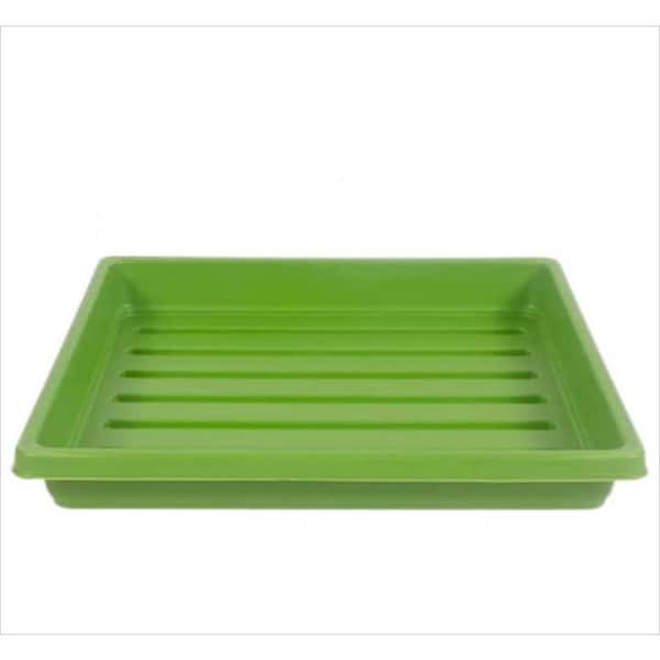 Microgreens Seed Starter Grow Trays, Shallow Seeding Germination Flats, No Holes Plant Sprouter for Seedlings (10-Pack)