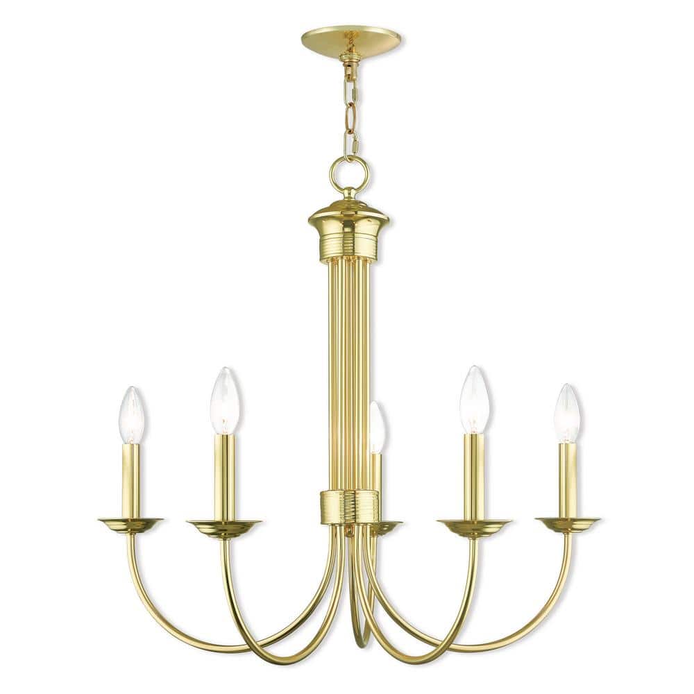 Elegant Polished Brass 5-Light Traditional Chandelier