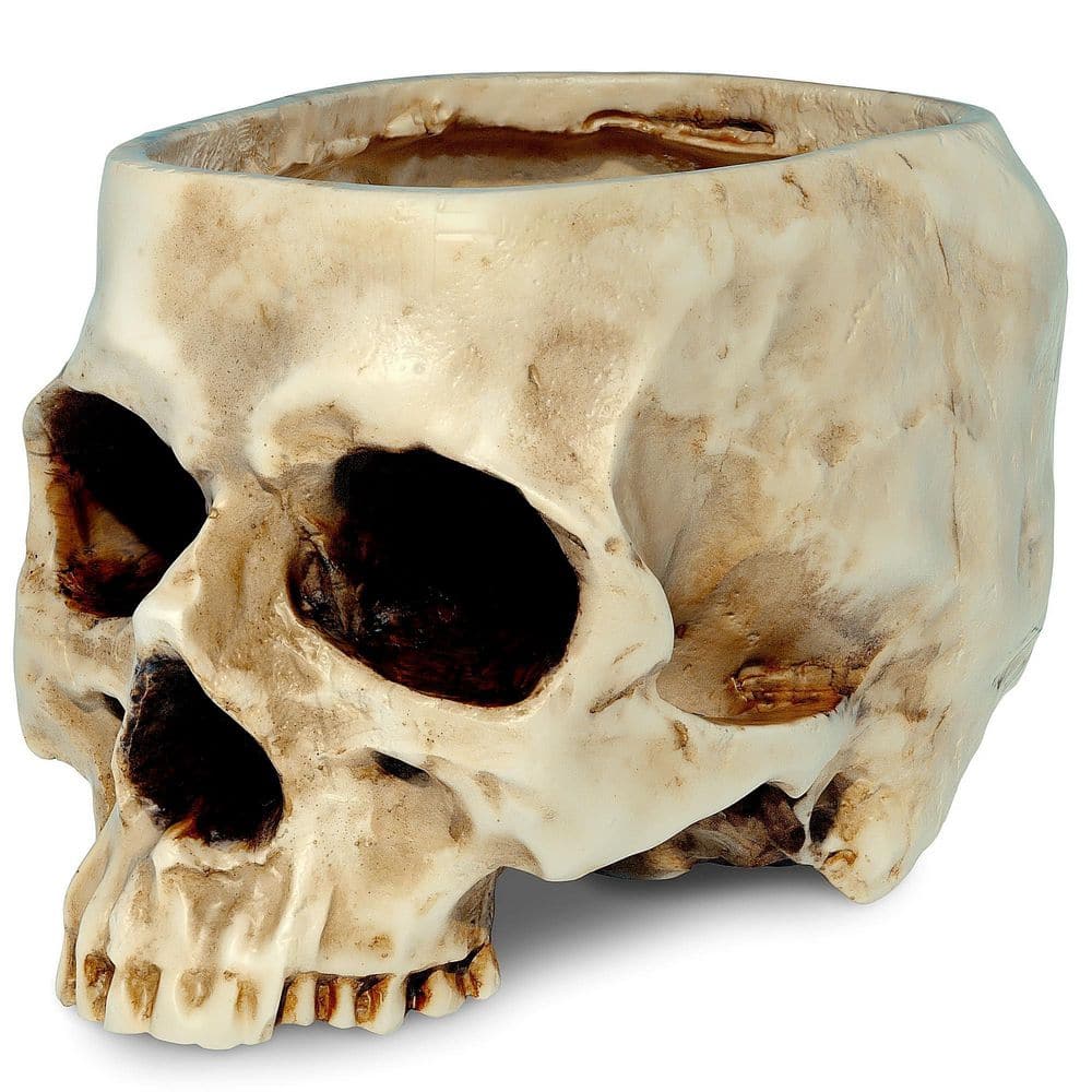 Resin Skull Planter with Drain Hole (6.2 in. W x 3.9 in. H) Gothic Halloween Decoration for Indoor and Outdoor price history on PriceWatchPro