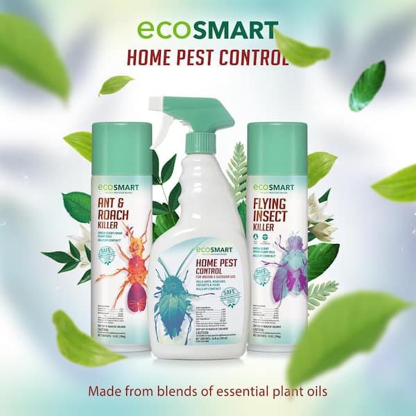 EcoSmart 14 oz. Natural Flying Insect Killer with Plant-Based Rosemary and  Peppermint Oil, Aerosol Spray Can (2-Pack) ECSM-33525-01EC