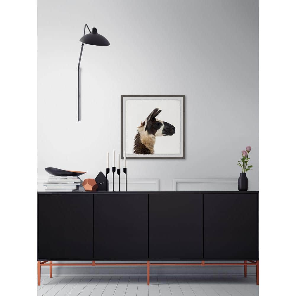 24 in. H x 24 in. W Llama Profile by Marmont Hill Framed Printed Wall 