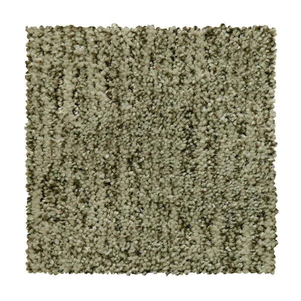 8 in. x 8 in. Pattern Carpet Sample - Corry Sound - Color Artic Air price history on PriceWatchPro