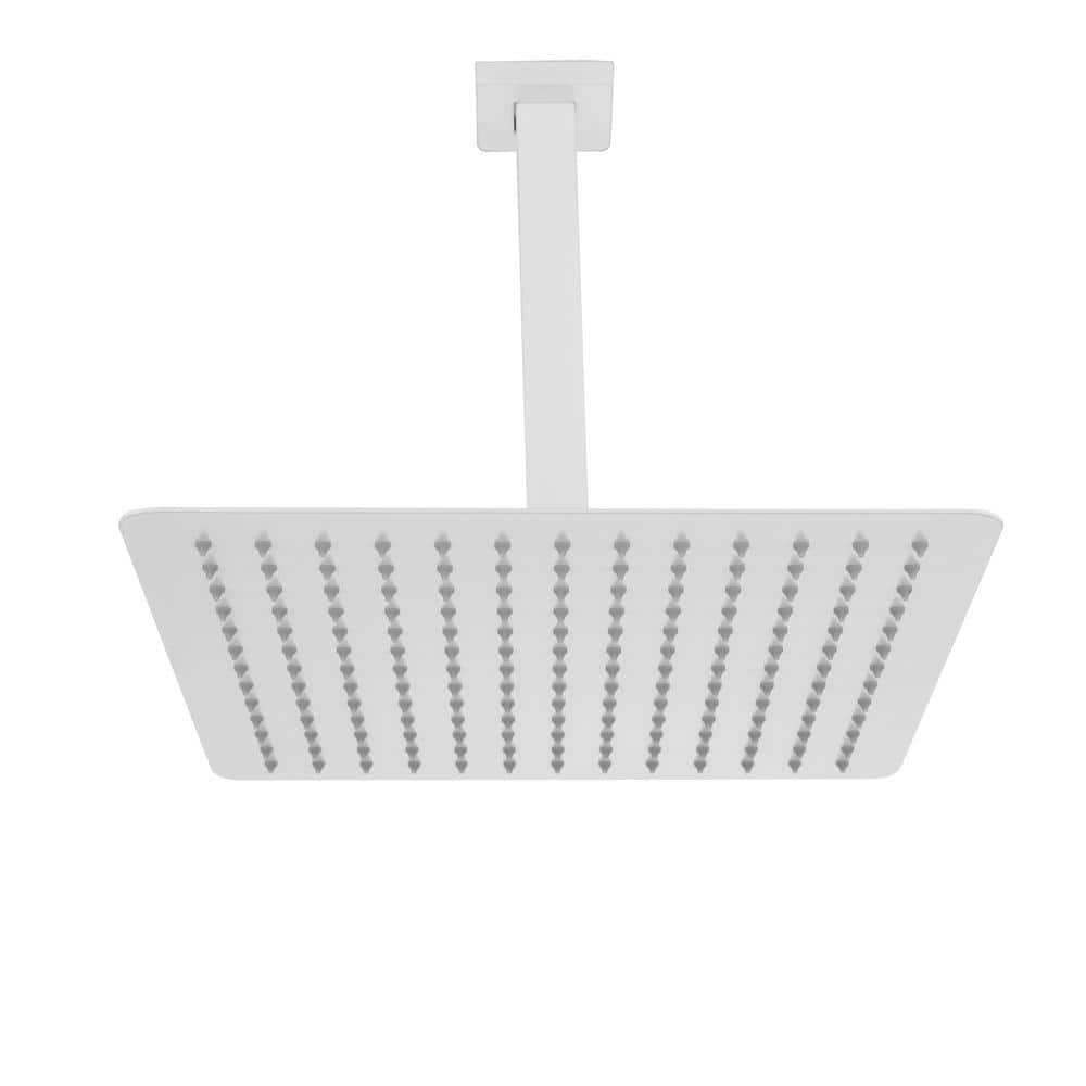 fapully-1-spray-patterns-10-in-2-5-gpm-single-ceiling-mount-fixed