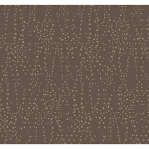 Brown and Gold Star Struck Paper Unpasted Matte Wallpaper (27 in. x 27 ft.)