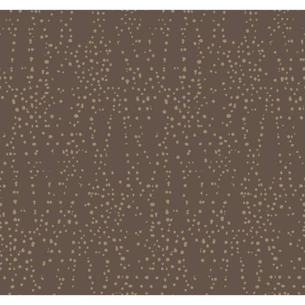 York Wallcoverings Brown and Gold Star Struck Paper Unpasted Matte Wallpaper (27 in. x 27 ft.)
