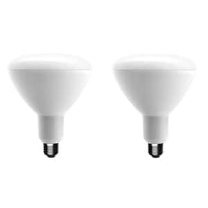 75-Watt Equivalent BR40 Dimmable Energy Star LED Light Bulb Bright White (2-Pack)