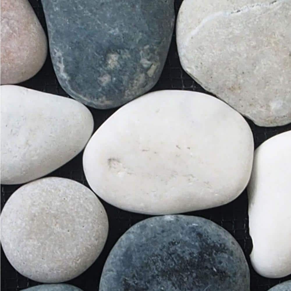 Classic Pebble Mosaic Tile Sample Color White, Black and Tan 4 in. x 6 in. price history on PriceWatchPro