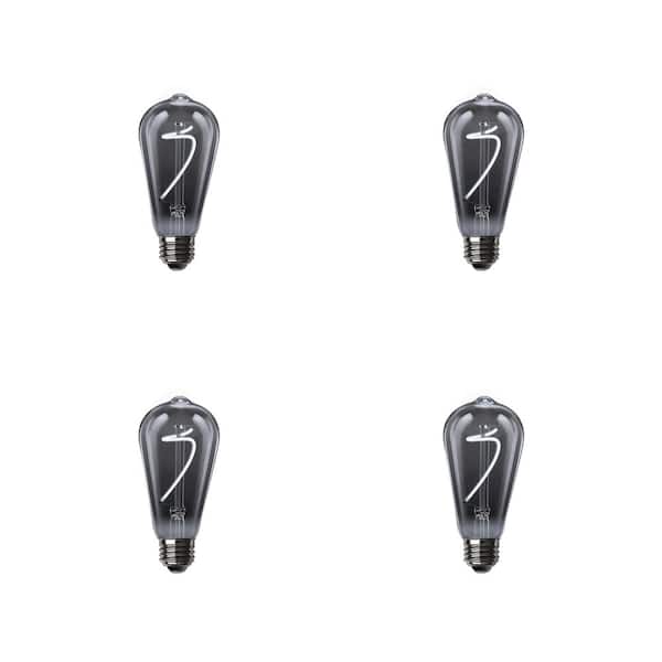 Feit Electric 25-Watt Equivalent ST19 Dimmable Curve Filament Smoke Glass E26 Vintage Edison LED Light Bulb, Daylight 5000K (4-Pack)