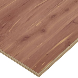 3/4 in. x 4 ft. x 4 ft. PureBond Aromatic Cedar Plywood Project Panel (Free Custom Cut Available)
