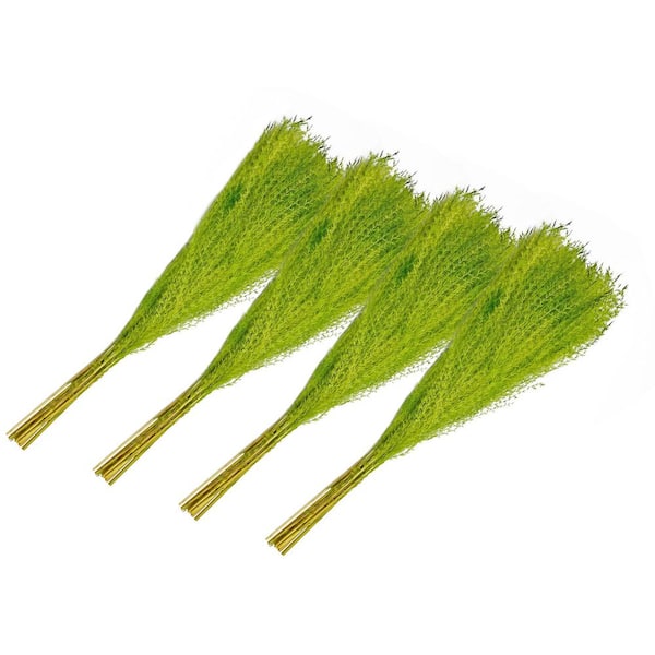 21 in. Yellow Green Indoor Non Artificial Dried Preserved Buddha Dust-Pack of 4