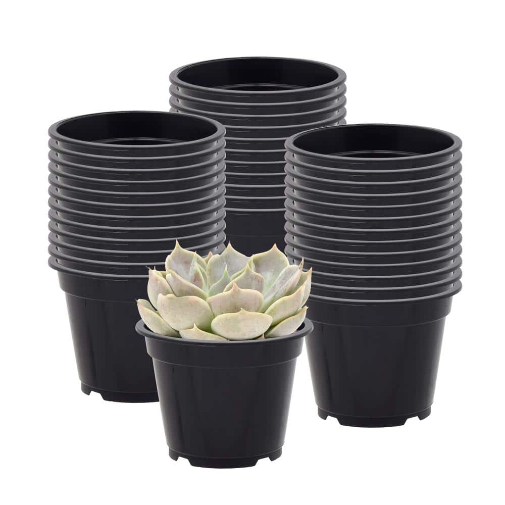 Black 3-Inch Durable Plastic Nursery Grow Pots for Seedlings and Succulents