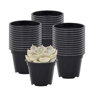 3 in. Black Plastic Standard Grow Pot (100-Pack)