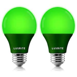 60-Watt Equivalent A19 LED Light Bulb Green Light Bulb (2-Pack)