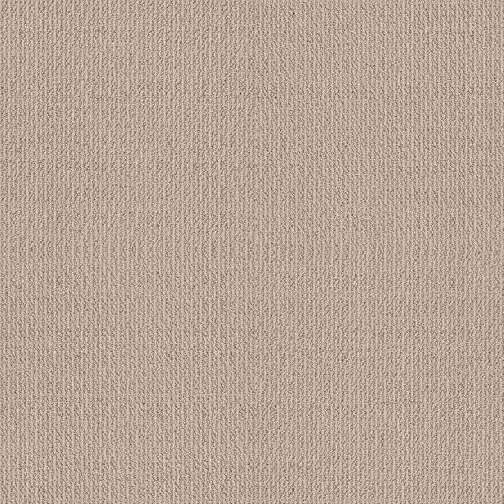8 in. x 8 in. Loop Carpet Sample - Fresco Flow - Color Summer Blond price history on PriceWatchPro