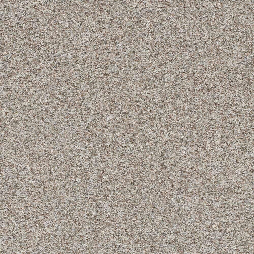 8 in. x 8 in. Texture Carpet Sample-Modern Mosaic III-Color Lopez price history on PriceWatchPro