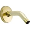 Delta 6 in. Shower Arm and Flange in Polished Brass U4993-PB - The Home ...