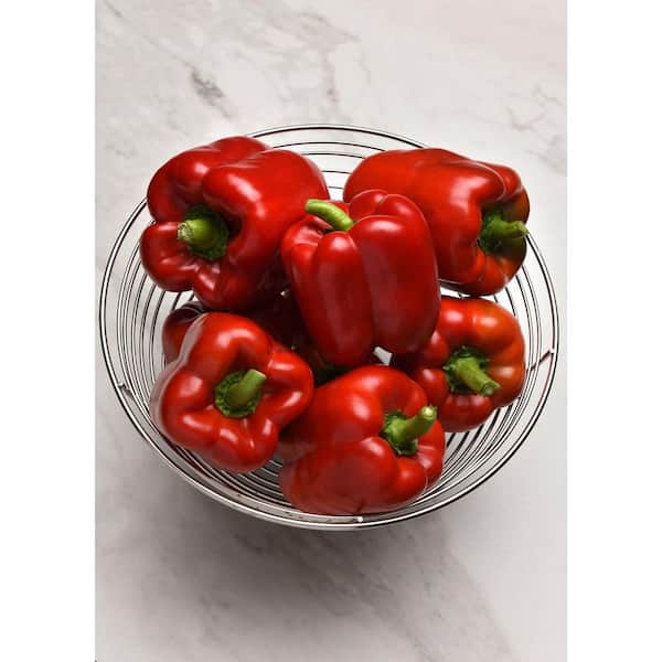 Burpee 3.5 in. Burpee Peppers Potted Red Standard II FG00095016