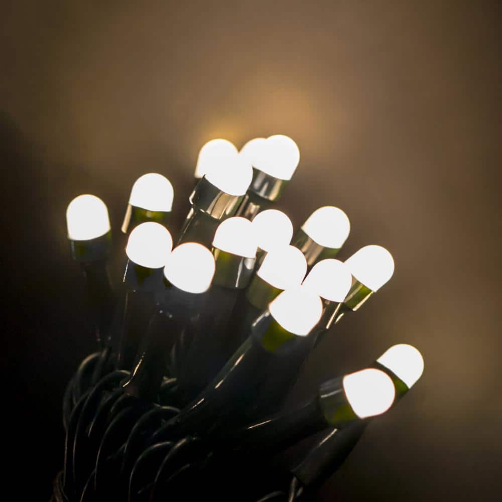 Novolink christmas lights Clearance