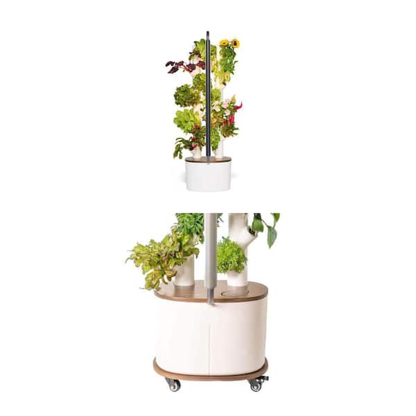 Studio Hydroponics Growing System Kit with 16 Non-GMO Plants, LED Lights and Rolling Cart with Bamboo Board