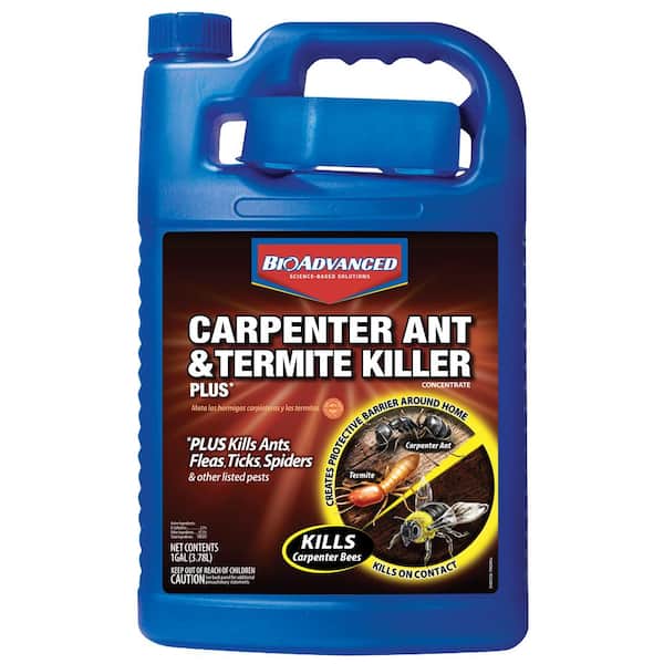 BIOADVANCED 1 Gal. Concentrate Carpenter Ant and Termite Killer Plus