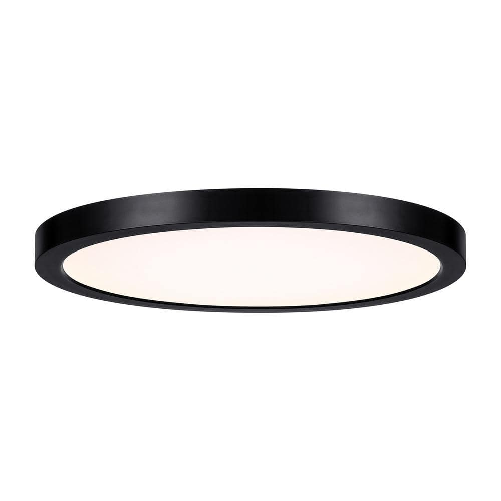 12-inch Black LED Flush Mount Ceiling Light with Clear Shade