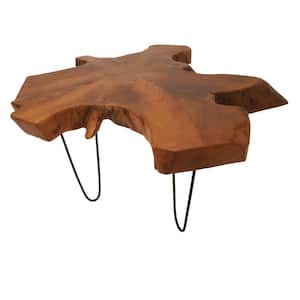 28 in. Brown Medium Round Wood Handmade Live Edge Top Coffee Table with Black Metal Hairpin Legs