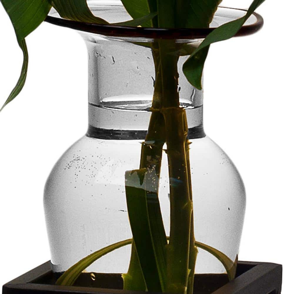 Clear Glass Amphora Vase with Black Iron Stand